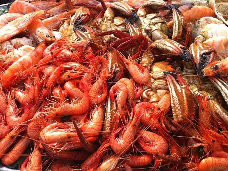 Samil Primera Linea De Playa Vigo Dış mekan fotoğraf